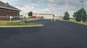 Best Driveway Pressure Washing  in Hazel Park, MI